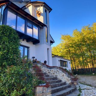 Pensiunea Plaiul Domnesc Runcu (4)