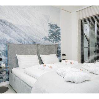 MS Pro Belle View Szklarska Poręba Apartament Premium 1 (3)