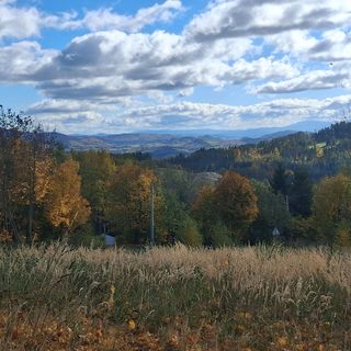 Sowie pokoje Jugów (5)