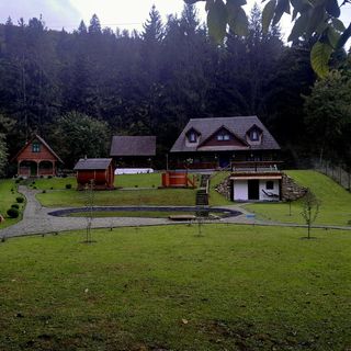 Casa Grosu Preluca (2)