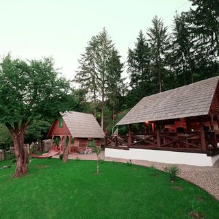 Casa Grosu Preluca (5)