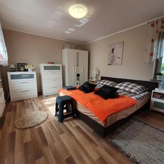 Wypoczynek Radomno (3)