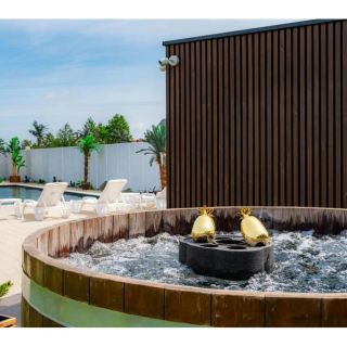 Domki Piaskova 11 Palm Resort & Wellness Nowęcin (5)