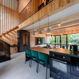 Vila Zia Teșila (3)