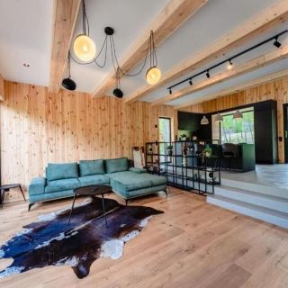 Vila Zia Teșila (4)