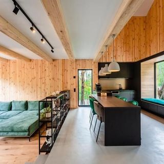 Vila Zia Teșila (5)