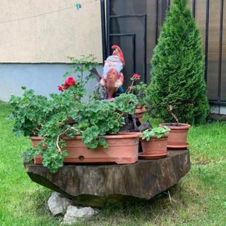 Casa Like Home Râșnov (3)