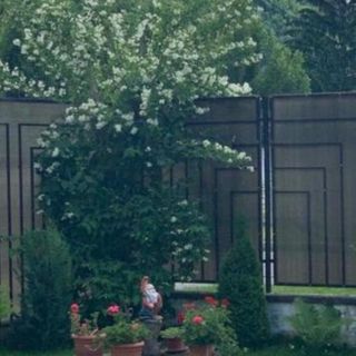 Casa Like Home Râșnov (4)