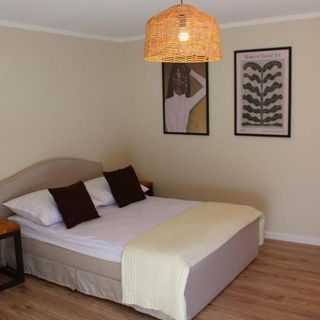 Leśne Szlaki AP Apartment's Jedlina-Zdrój (3)