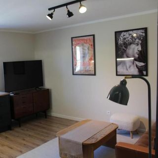 Leśne Szlaki AP Apartment's Jedlina-Zdrój (5)