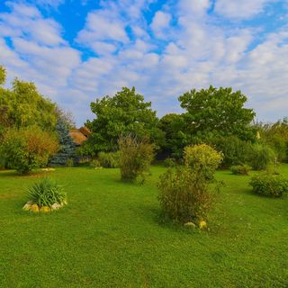 Villa Lavanda Križevci (4)