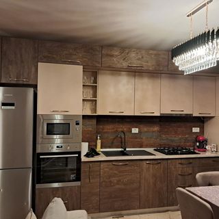 Monica City Apartament Timișoara (5)