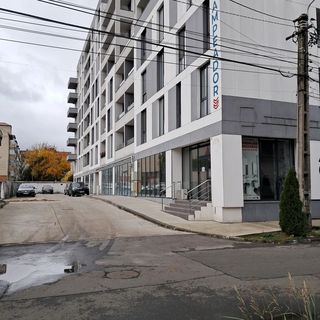 Monica City Apartament Timișoara (2)