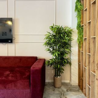 Resort D9 Studio Modern 201 Năvodari (4)