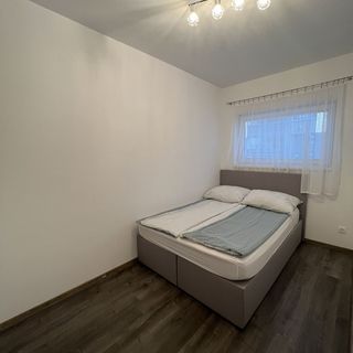 Modern Apartman Szeged (3)