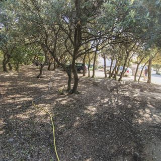 Apartment Family Ribicic Mandre (4)