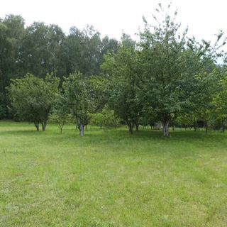 Pokoje do wynajęcia Pod Dobrą (5)