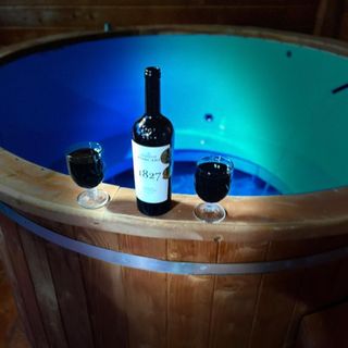 Cabana Paltini Poiana Vadului (2)