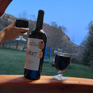 Cabana Paltini Poiana Vadului (4)