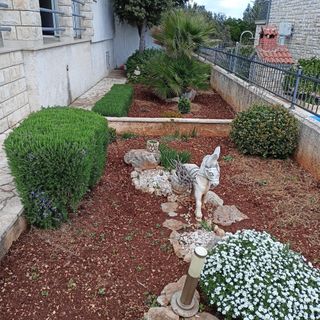 Apartmanok A Tenger Mellett Rogac, Solta - 21346 Rogač (5)