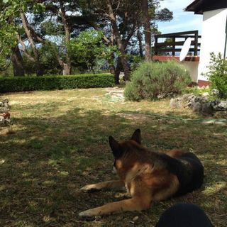 Nyaralóház Parkolóhellyel Bast, Makarska - 23316 Bast (2)