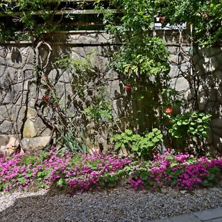 Apartmanok Parkolóhellyel Selce Crikvenica - 24450 (4)