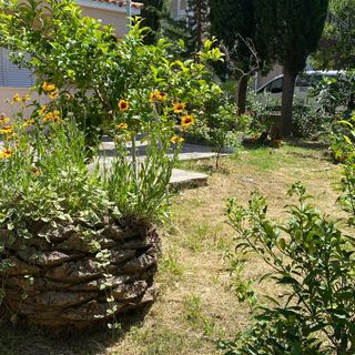 Apartmanok Parkolóhellyel Lopar, Rab - 24597 Lopar (5)