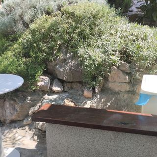 Apartmanok A Tenger Mellett Drage, Biograd - 24709 Drage (4)