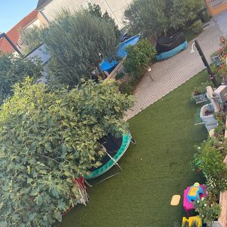 Apartmanok Gyermekes Családok Részére Vodice - 24913 (4)