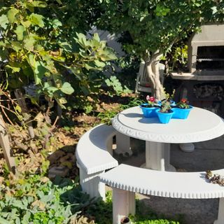 Apartmanok A Tenger Mellett Vir - 24953 (4)