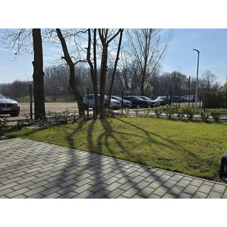 Apartament Zimowy Rentoom Toruń (5)