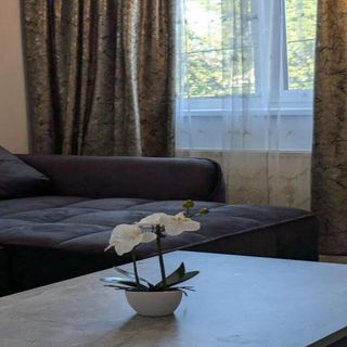 Apartament Christian City Timișoara (3)