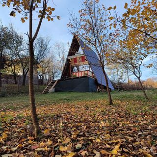 Cabana Young Valley Bâltişoara (2)