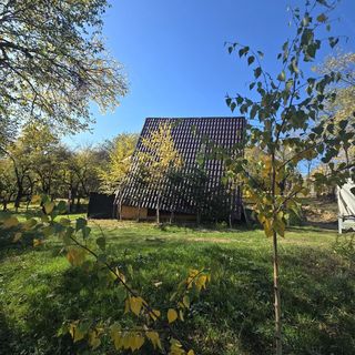 Cabana Young Valley Bâltişoara (5)