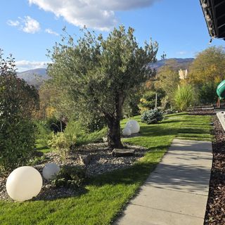 Vila Above Village Berislăveşti (3)