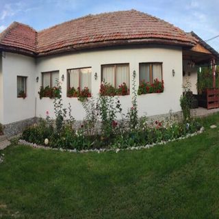 Casa Rustik Bâltişoara (3)