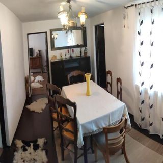 Casa Rustik Bâltişoara (4)