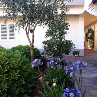 Apartment Palma Baska Voda (2)