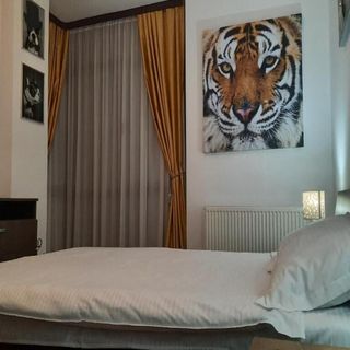 Apartament Armonia Sweet Sibiu (3)