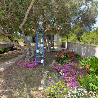 Ház Gyermekes Családok Részére A Tenger Mellett Banj, Pasman - 24665 Banj (5)