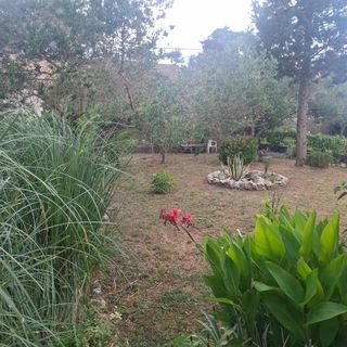 Apartmanok Parkolóhellyel Palit, Rab - 24800 Palit (4)