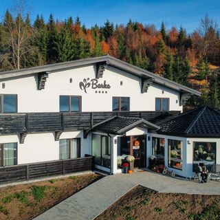 Pensiunea Barka Borsec (2)