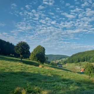 Casa Ardelean Sita Buzăului (2)