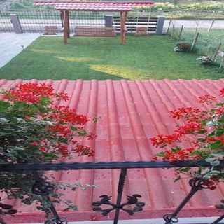 Casa Ardelean Sita Buzăului (3)