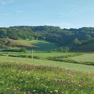 Casa Ardelean Sita Buzăului (4)