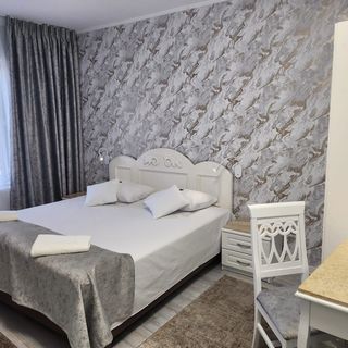 Hotel Mantra Arad (2)