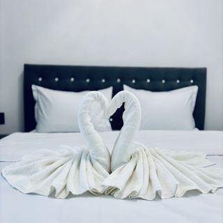 Casa Secret Forest By Erwin Avrig (5)