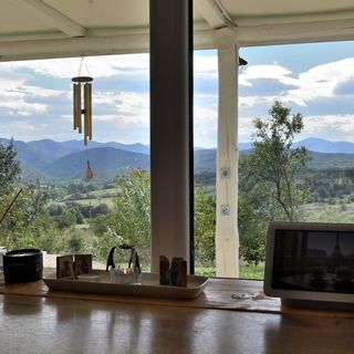 Casa Mystic Twistic Vidra (3)