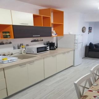 Topaz Central Apartment Bacău (2)