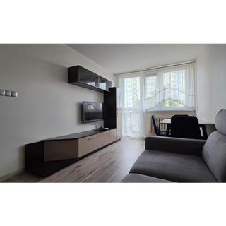 Perfect Stay - Apartament Urban Spot - free parking Toruń (4)